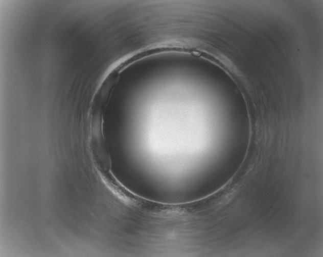 X0000080170838200612151920