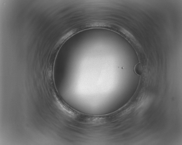 X0000080170841200612151920