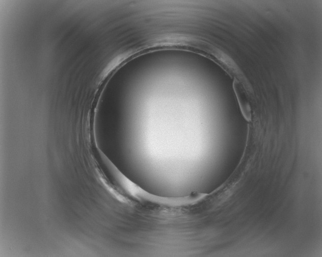 X0000080170842200612151920