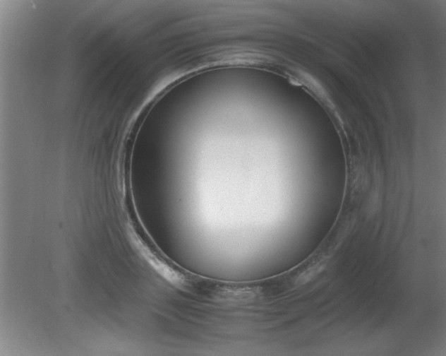 X0000080170843200612151920