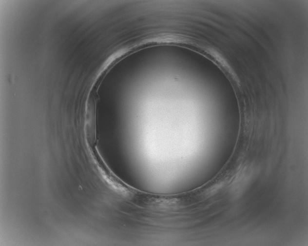 X0000080170845200612151920