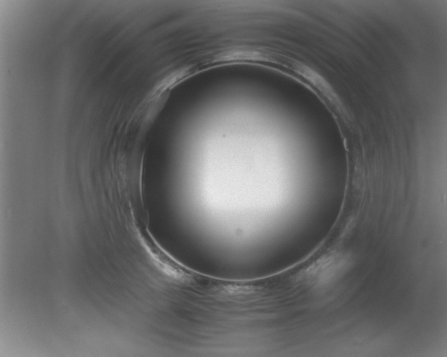 X0000080170849200612151920