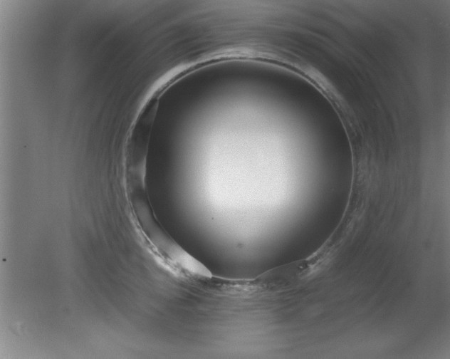 X0000080170854200612151921