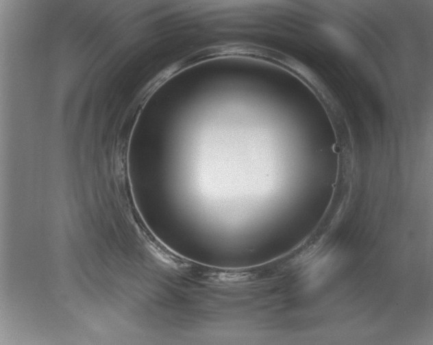 X0000080170857200612151921