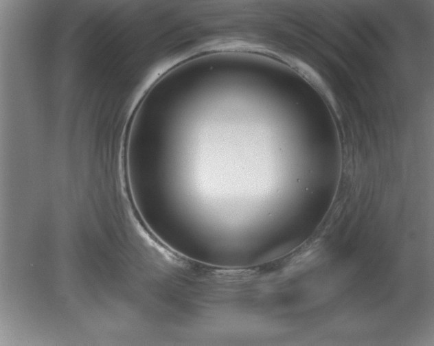 X0000080170863200612151921