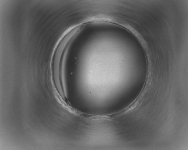 X0000080170864200612151921