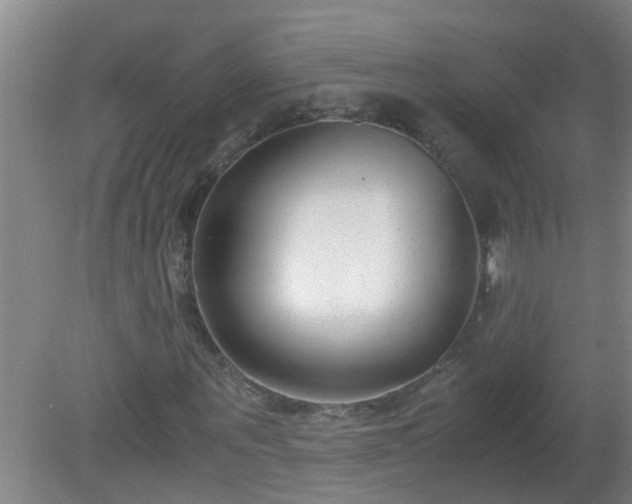 X0000080170867200612151920