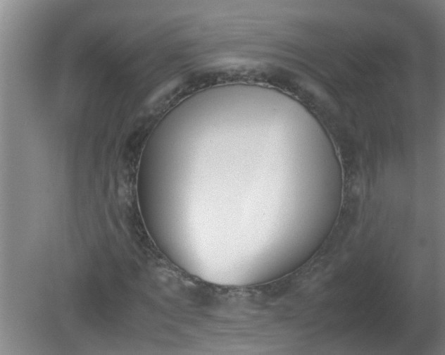 X0000080170869200612151920