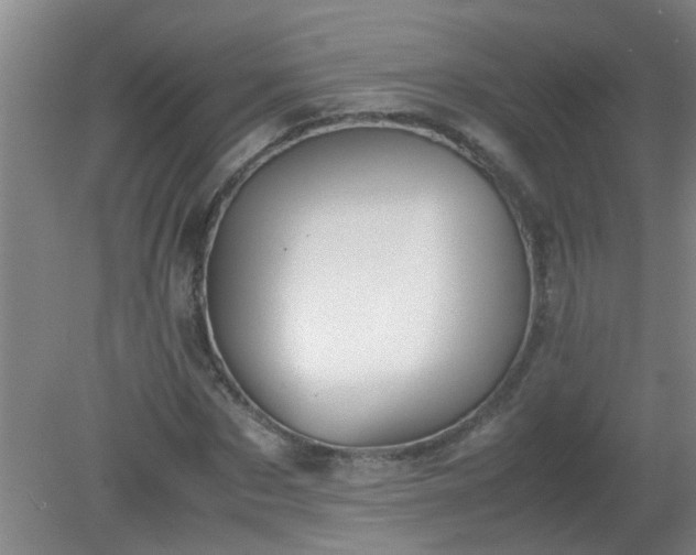 X0000080170873200612151920