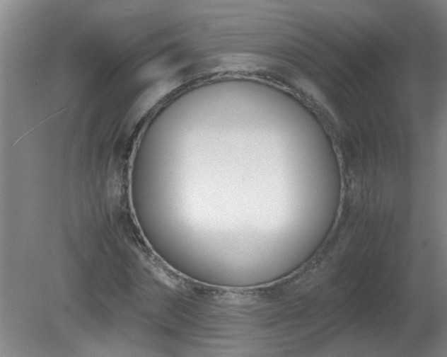 X0000080170874200612151920