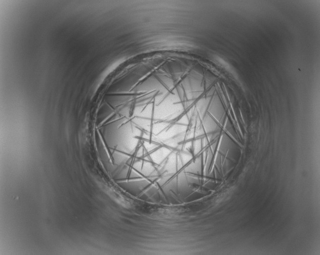 X0000080170875200612151920