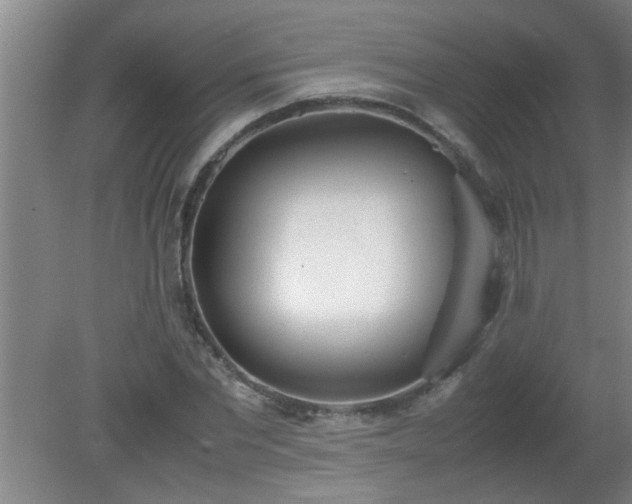 X0000080170877200612151920