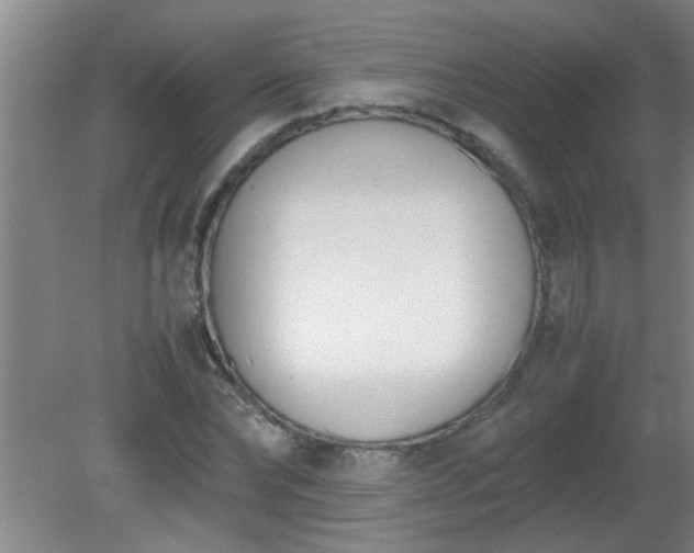 X0000080170878200612151920
