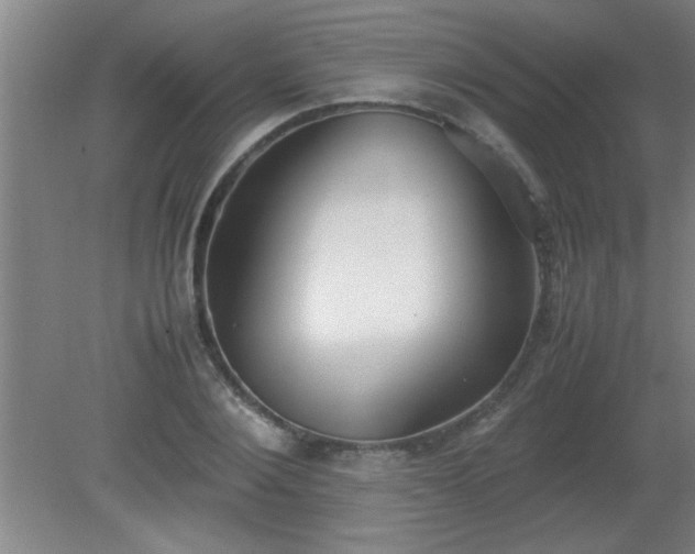 X0000080170884200612151920