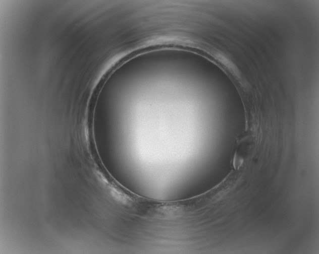 X0000080170888200612151920