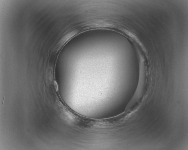 X0000080170889200612151920