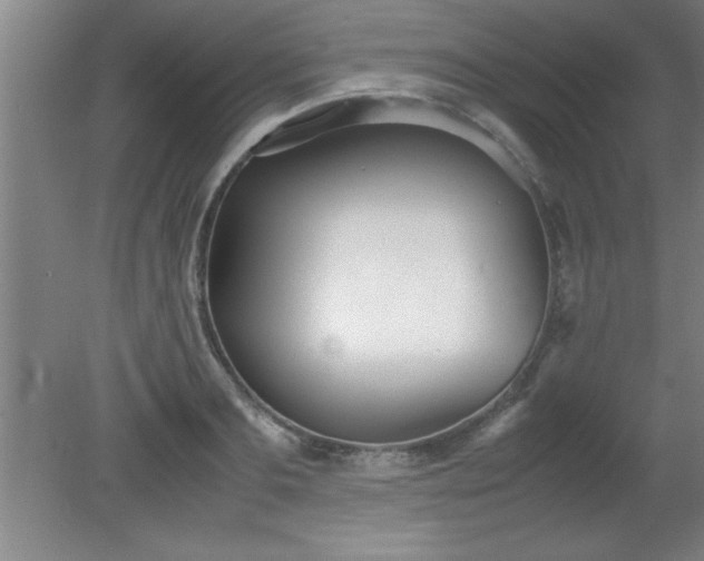 X0000080170893200612151919