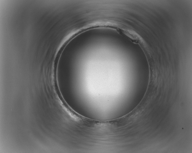 X0000080170894200612151919