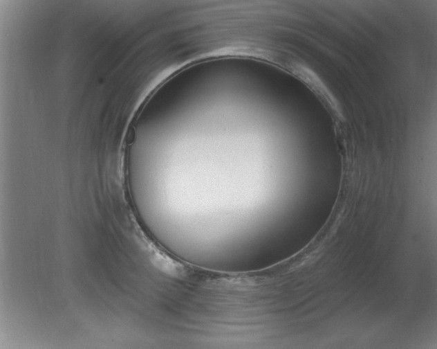 X0000080170900200612151919