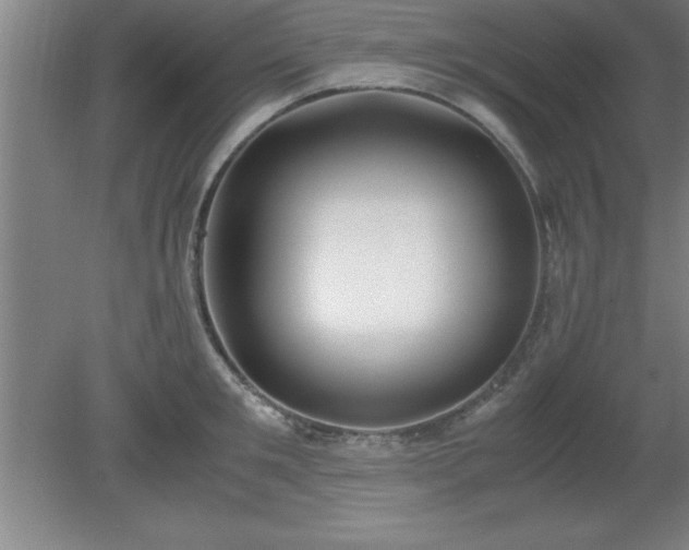 X0000080170901200612151919