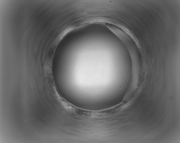 X0000080170905200612151919