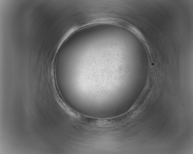 X0000080170907200612151919