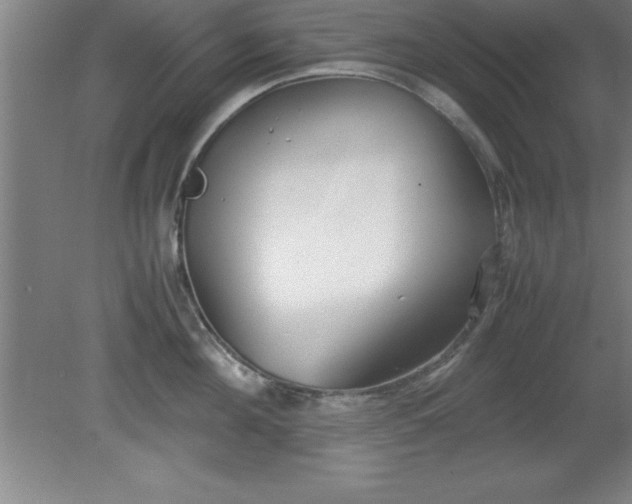 X0000080170908200612151919