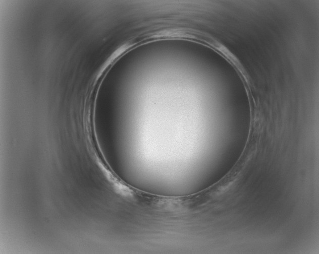 X0000080170909200612151919