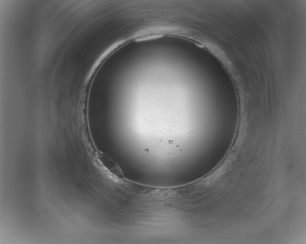 X0000080170912200612151919