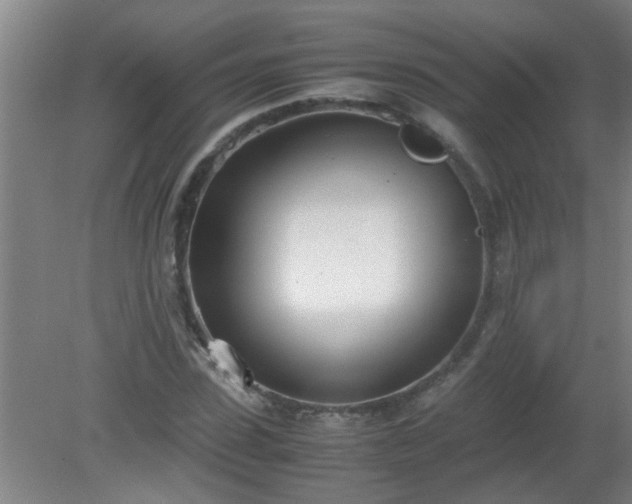 X0000080170923200612151918