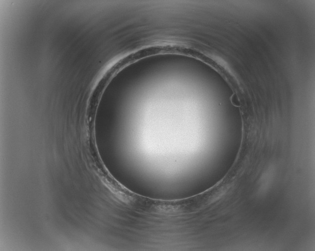 X0000080170927200612151919