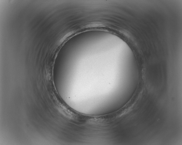 X0000080170929200612151919