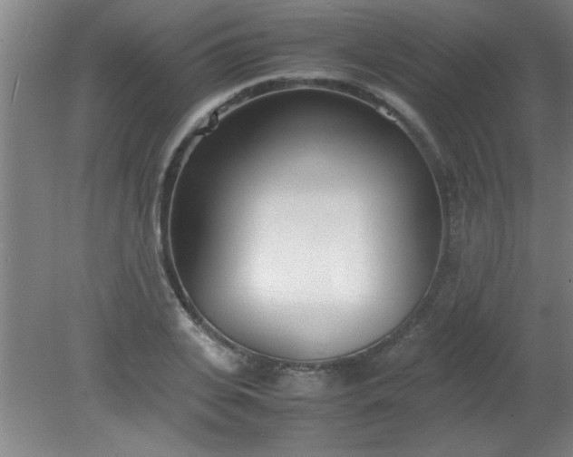 X0000080170935200612151919