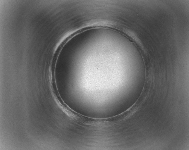 X0000080170936200612151919