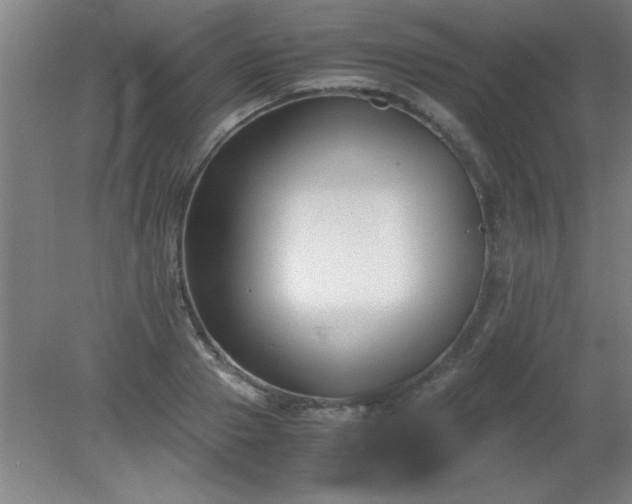 X0000080170937200612151919