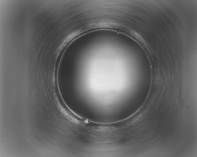 X0000080170938200612151919