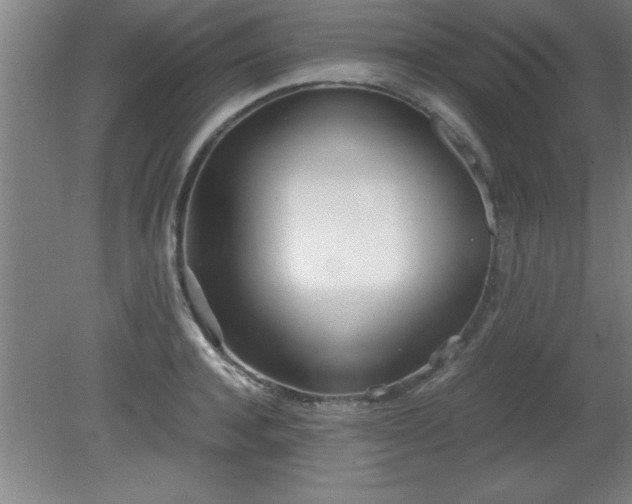 X0000080170944200612151919