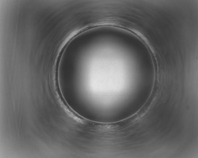 X0000080170949200612151919