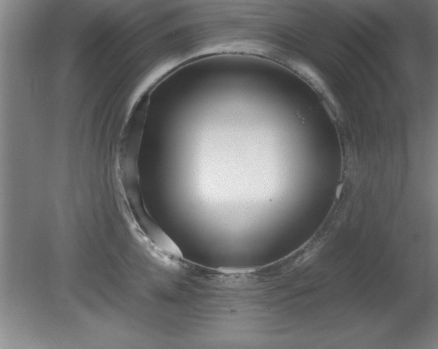 X0000080170952200612151919