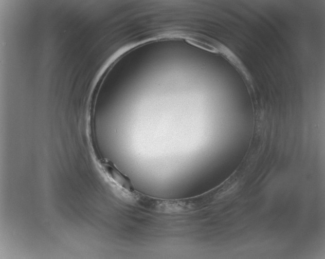 X0000080170955200612151919