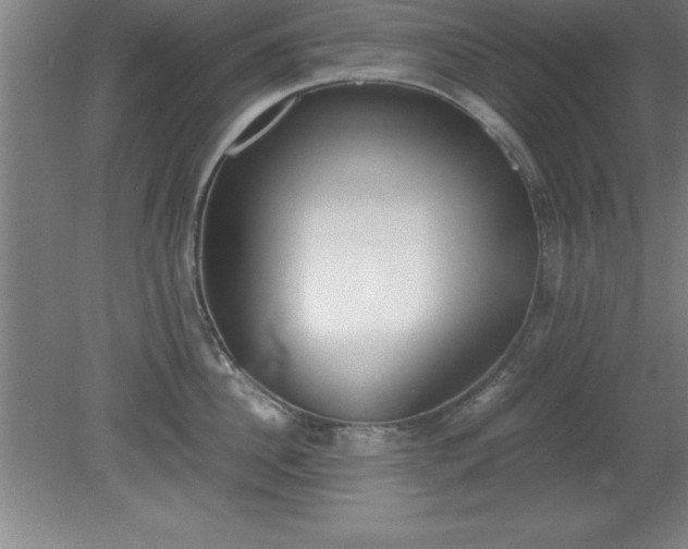 X0000080170956200612151919