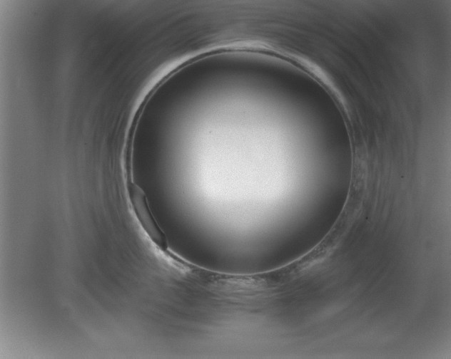 X0000080170959200612151919