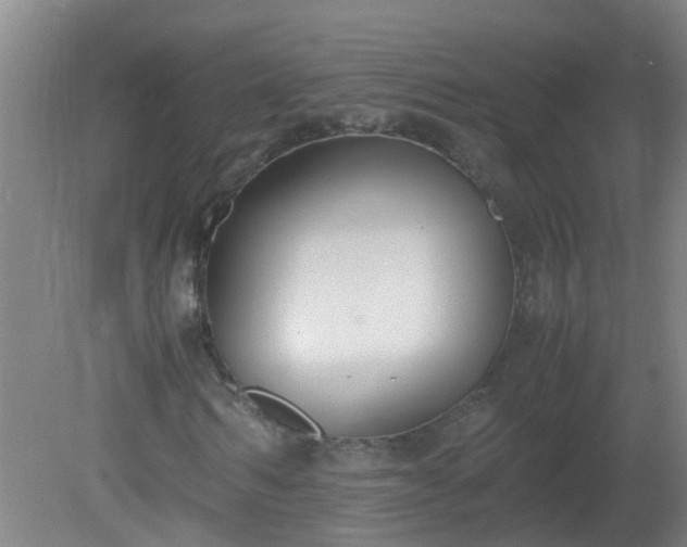 X0000080170962200612151918