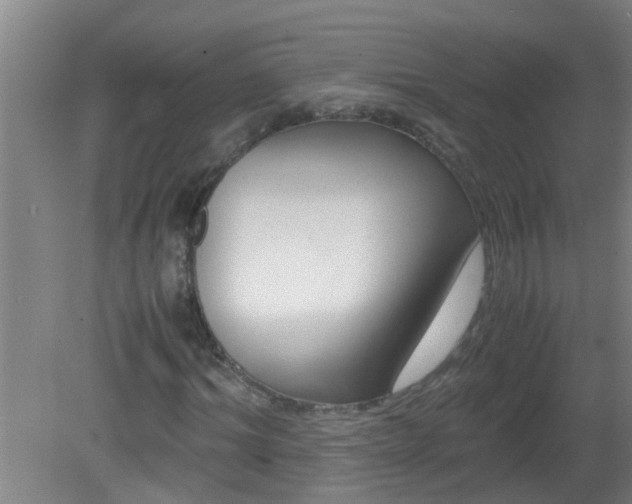 X0000080170964200612151918