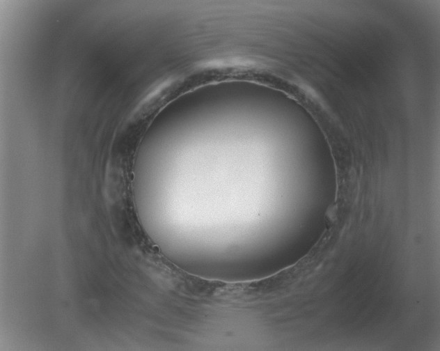 X0000080170967200612151918