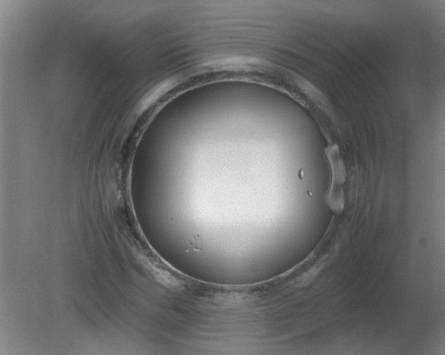 X0000080170970200612151918