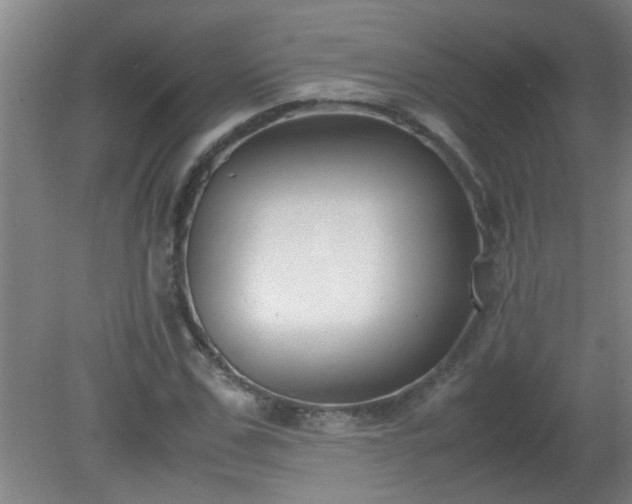 X0000080170971200612151918