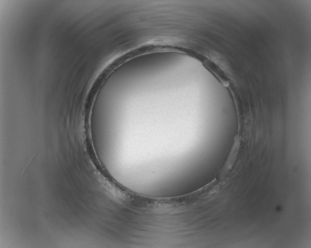 X0000080170976200612151918