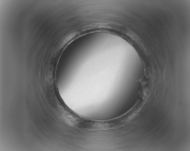 X0000080170977200612151918