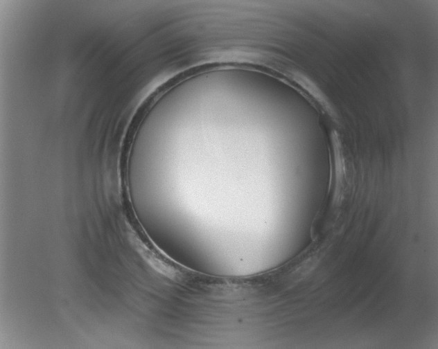 X0000080170980200612151918
